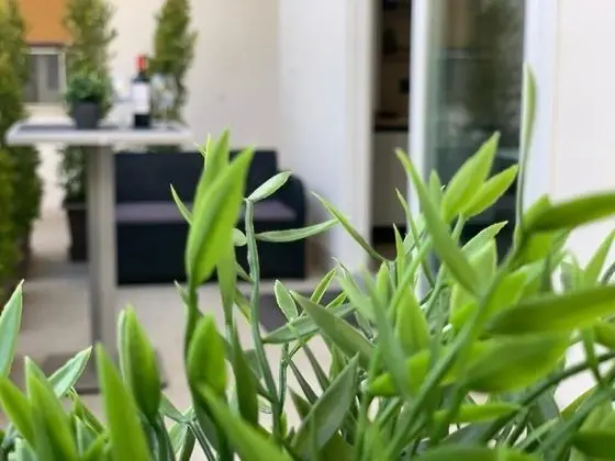Deluxe Tek Büyük veya İki Ayrı Yataklı Oda (101)