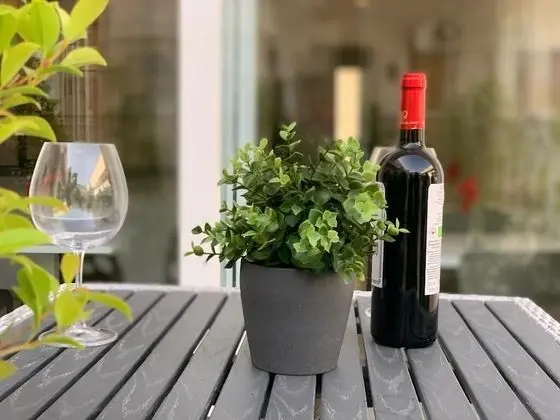 Deluxe Tek Büyük veya İki Ayrı Yataklı Oda (101)