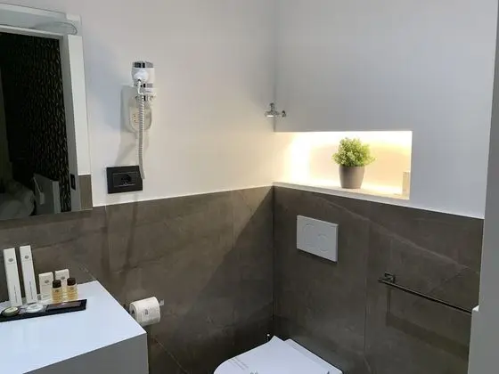 Deluxe Tek Büyük veya İki Ayrı Yataklı Oda (101)