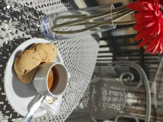 Deluxe Tek Büyük veya İki Ayrı Yataklı Oda, Balkon (103)