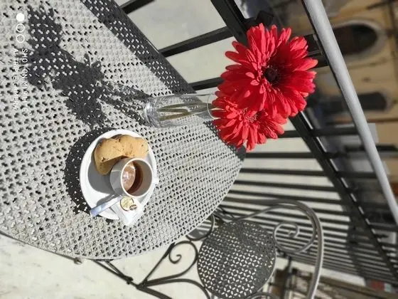 Deluxe Tek Büyük veya İki Ayrı Yataklı Oda, Balkon (103)