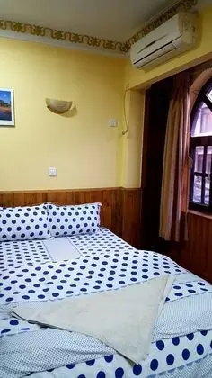Deluxe Stüdyo, 2 Çift Kişilik Yatak, Sigara İçilebilir, Mutfak