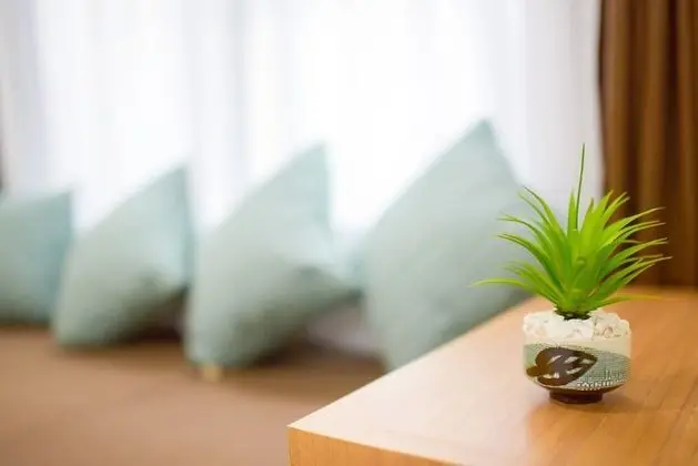 Deluxe İki Ayrı Yataklı Oda, 2 Tek Kişilik Yatak, Balkon/Veranda