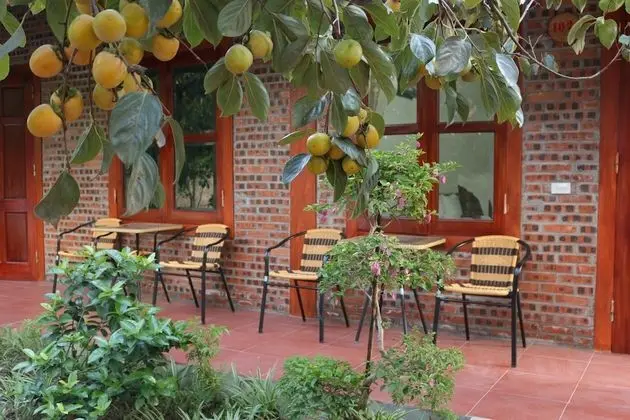 Luxury Dört Kişilik Oda, 1 Yatak Odası, Bahçe Manzaralı, Avlu