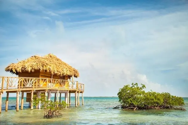 Premier Overwater Bungalow
