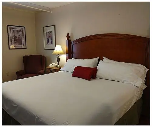 Superior Room, 1 King Bed- Not Pet Friendly