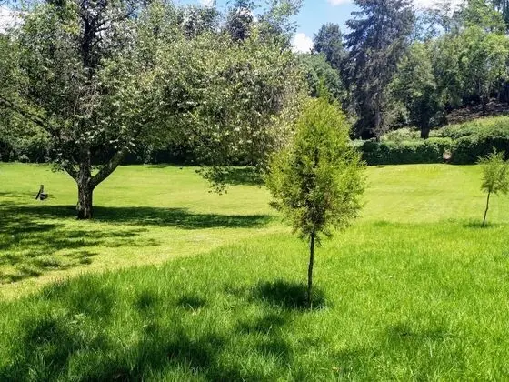 Standard Tek Büyük Yataklı Oda, 1 Çift Kişilik Yatak, Banyolu/Duşlu, Bahçe Manzaralı