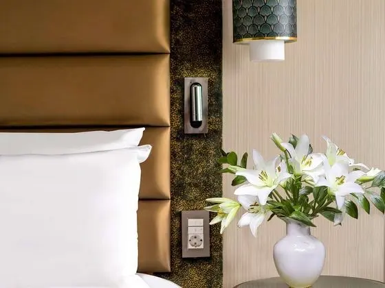 Deluxe Tek Büyük Yataklı Oda, 1 Çift Kişilik Yatak, Şehir Manzaralı