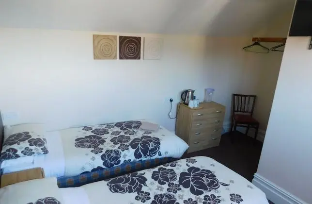 İki Ayrı Yataklı Oda, Banyolu/Duşlu (En suite Shower/Shared WC)