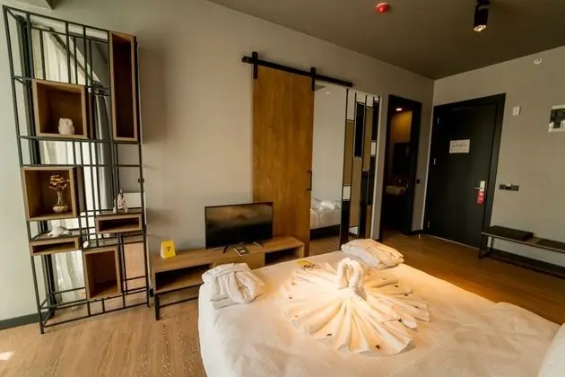 Deluxe Family Room Mountain View
