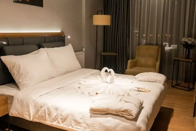 Deluxe Suite Room Mountain View