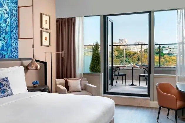 Oda, 1 En Büyük (King) Boy Yatak, Balkon, Park Manzaralı