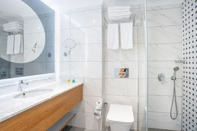 Standard Tek Büyük Yataklı Oda, Şehir Manzaralı