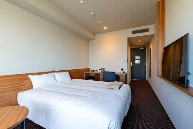 Tek Büyük Yataklı Oda, Sigara İçilmez (Stylish Room)