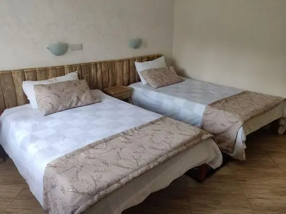 Executive Tek Büyük veya İki Ayrı Yataklı Oda, Balkon