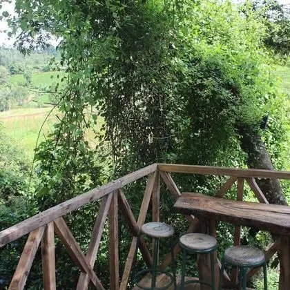 Executive Tek Büyük veya İki Ayrı Yataklı Oda, Balkon