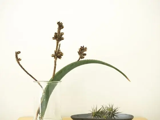 Süit (THEBLOEM SUITE ONE: DELUXE KING )