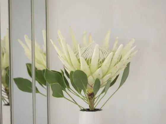 Süit (THEBLOEM SUITE THREE: DELUXE KING BED)