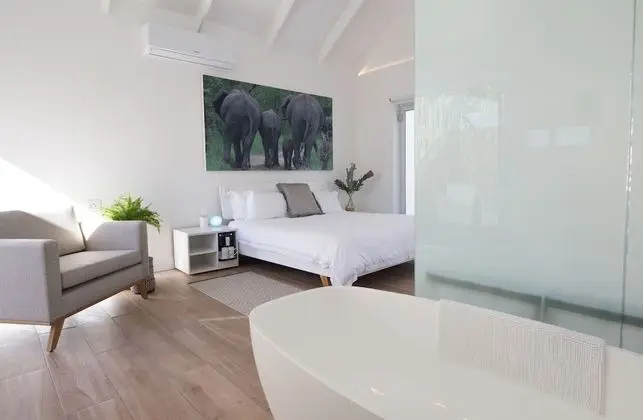 Superior Tek Büyük Yataklı Oda