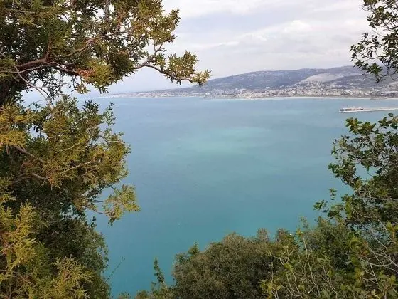 Panoramic Oda