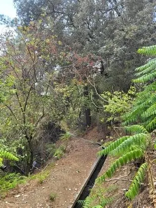 Ev, Birden Çok Yatak