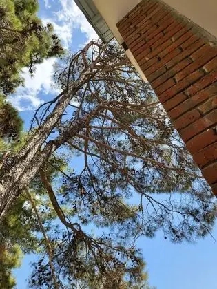 Ev, Birden Çok Yatak