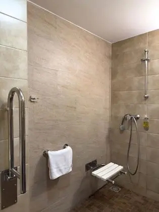Standard Tek Büyük Yataklı Oda, Engellilere Uygun