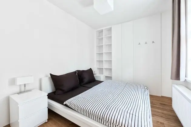 Standard Apart Daire, 1 Yatak Odası, Küçük Mutfak