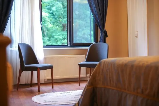 Standard Tek Büyük veya İki Ayrı Yataklı Oda, 1 Çift Kişilik Yatak, Şehir Manzaralı