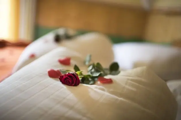 Comfort Oda, 1 Yatak Odası, Bahçe Manzaralı