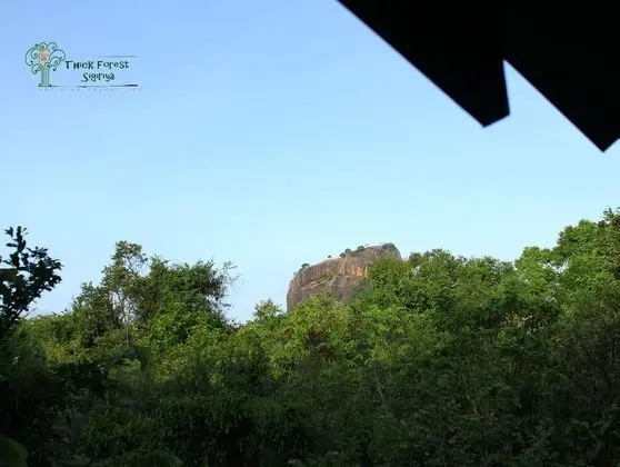 Kır Evi, 1 En Büyük (King) Boy Yatak, Sigara İçilmez