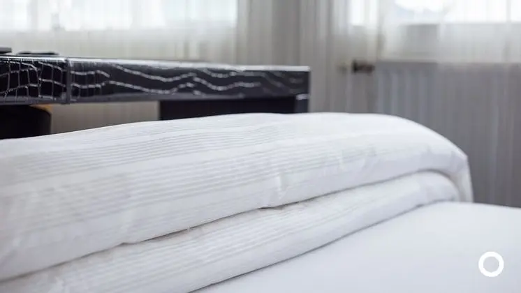 Deluxe Tek Büyük veya İki Ayrı Yataklı Oda