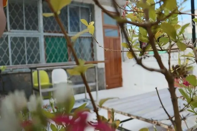Panoramic Çatı Katı (Loft), 1 Yatak Odası, Veranda, Bahçeli