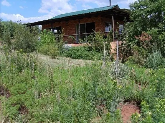 Comfort Kır Evi (Protea)