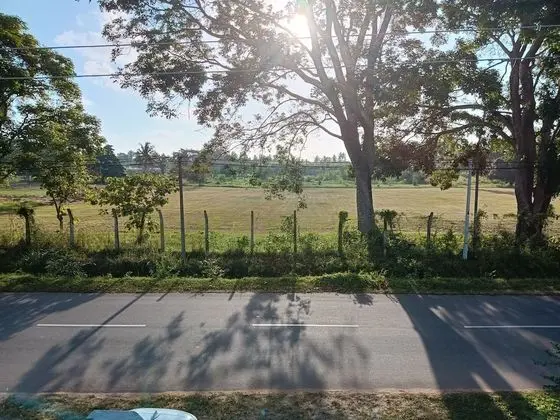 Family Dört Kişilik Oda, Birden Çok Yatak, Park Manzaralı