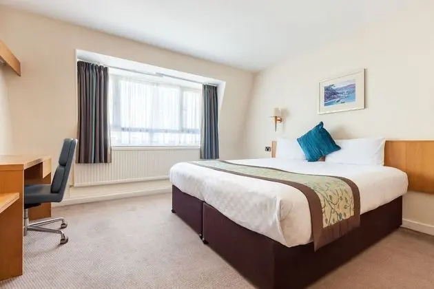 Executive Tek Büyük Yataklı Oda, 1 En Büyük (King) Boy Yatak