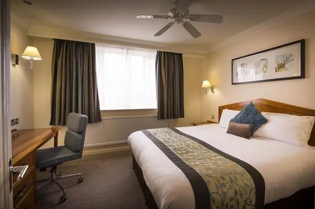 Executive Tek Büyük Yataklı Oda, 1 En Büyük (King) Boy Yatak