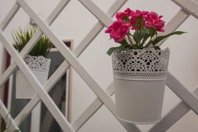 Stüdyo, Küçük Mutfak