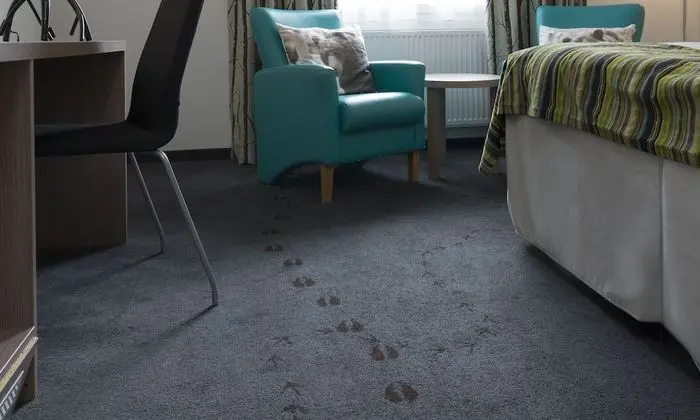 Standard Oda, 1 Tek Kişilik Yatak, Sigara İçilmez