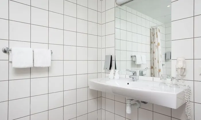 Standard Tek Büyük Yataklı Oda, Sigara İçilmez