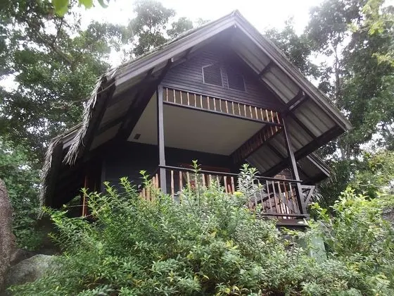 Garden Suite