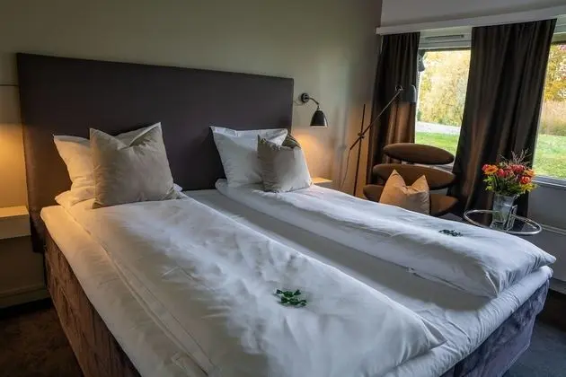 Standard Tek Büyük Yataklı Oda, 1 Büyük (Queen) Boy Yatak