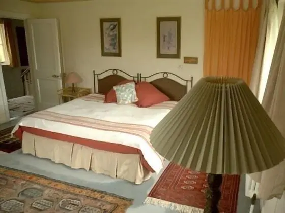 Luxury Tek Büyük Yataklı Oda, Banyolu/Duşlu