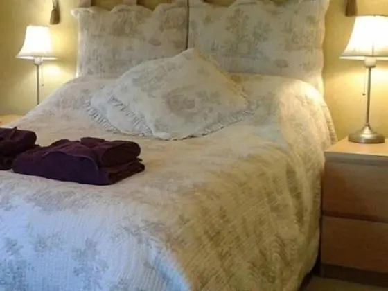 Tek Büyük Yataklı Oda, Banyolu/Duşlu (Room 2)