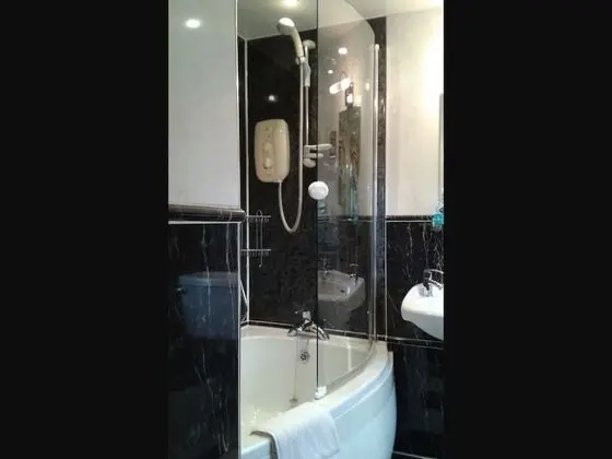 Tek Büyük Yataklı Oda, Banyolu/Duşlu (Room 2)