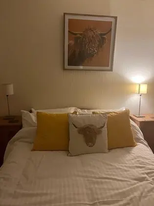 Tek Büyük Yataklı Oda, Banyolu/Duşlu