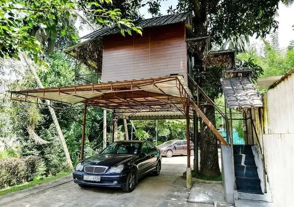 Romantic Ağaç Ev
