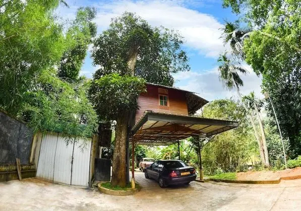 Romantic Ağaç Ev