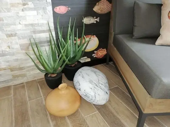 Design Apart Daire, 1 Yatak Odası (1st floor)