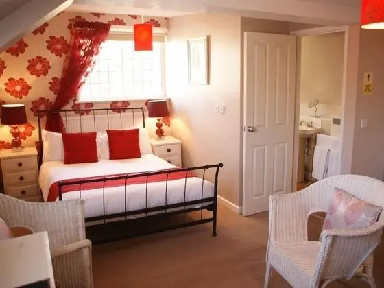 Deluxe Tek Büyük Yataklı Oda, Banyolu/Duşlu